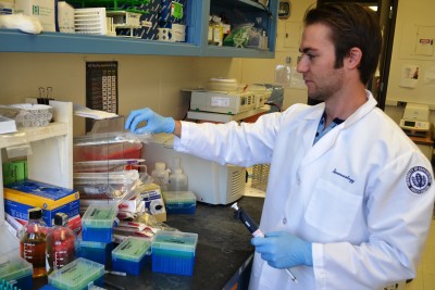 M.D./Ph.D. student Jeremy Grenier in the lab (Chris DeFrancesco/UConn Health)